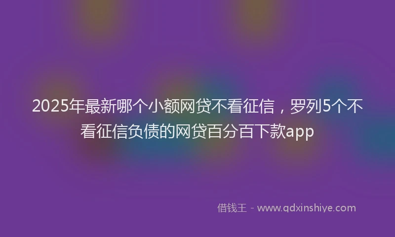 2025年最新哪个小额网贷不看征信，罗列5个不看征信负债的网贷百分百下款app