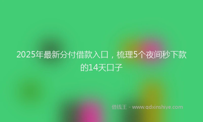 2025年最新分付借款入口，梳理5个夜间秒下款的14天口子