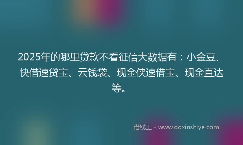 2025年的哪里贷款不看征信大数据有：小金豆、快借速贷宝、云钱袋、现金侠速借宝、现金直达等。
