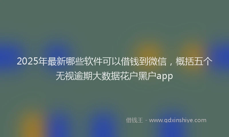 2025年最新哪些软件可以借钱到微信，概括五个无视逾期大数据花户黑户app