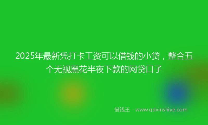 2025年最新凭打卡工资可以借钱的小贷，整合五个无视黑花半夜下款的网贷口子