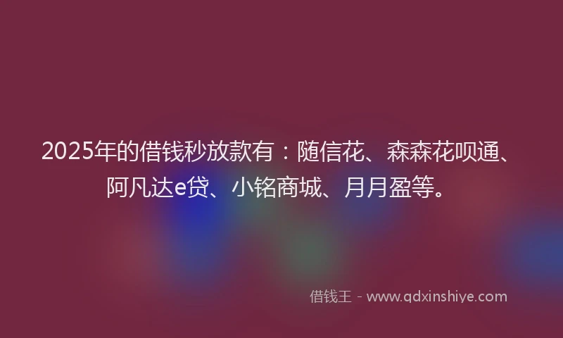 2025年的借钱秒放款有：随信花、森森花呗通、阿凡达e贷、小铭商城、月月盈等。