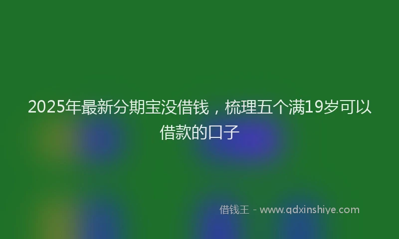 2025年最新分期宝没借钱，梳理五个满19岁可以借款的口子