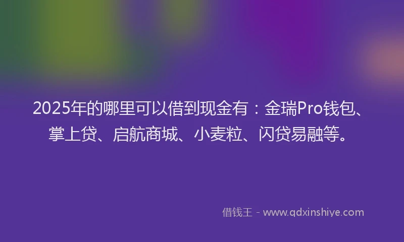 2025年的哪里可以借到现金有：金瑞Pro钱包、掌上贷、启航商城、小麦粒、闪贷易融等。