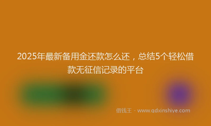 2025年最新备用金还款怎么还，总结5个轻松借款无征信记录的平台