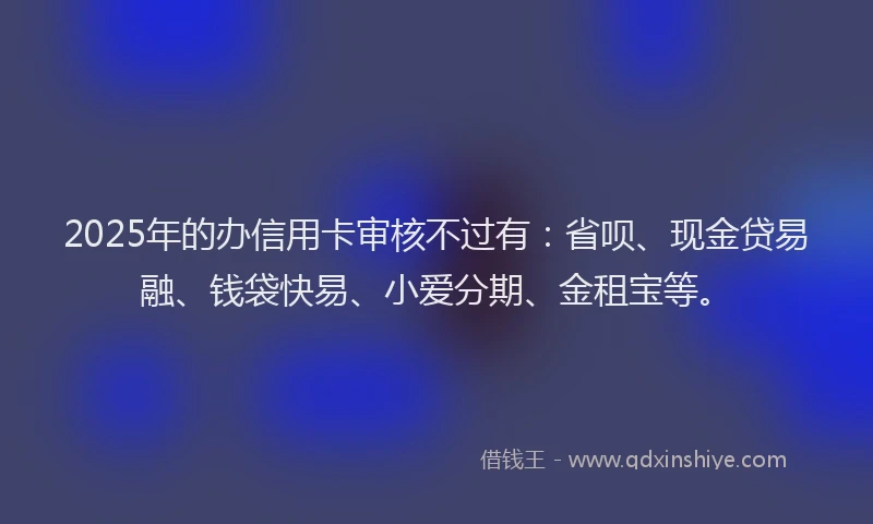 2025年的办信用卡审核不过有：省呗、现金贷易融、钱袋快易、小爱分期、金租宝等。