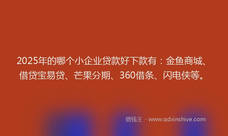 2025年的哪个小企业贷款好下款有：金鱼商城、借贷宝易贷、芒果分期、360借条、闪电侠等。