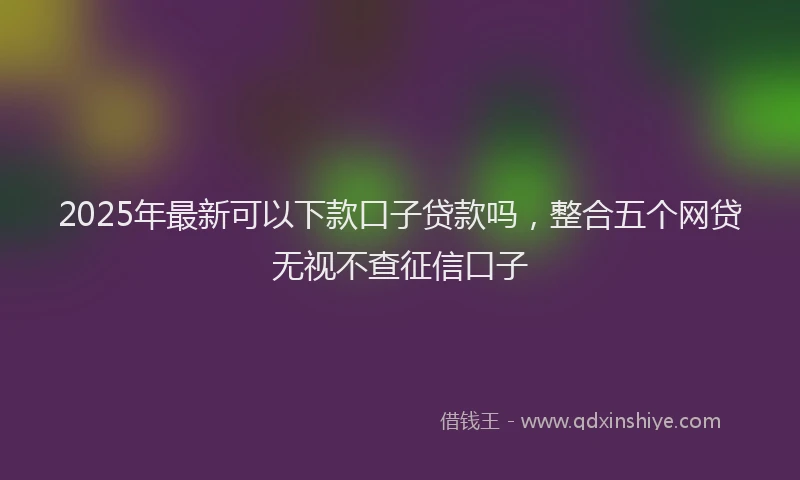2025年最新可以下款口子贷款吗，整合五个网贷无视不查征信口子