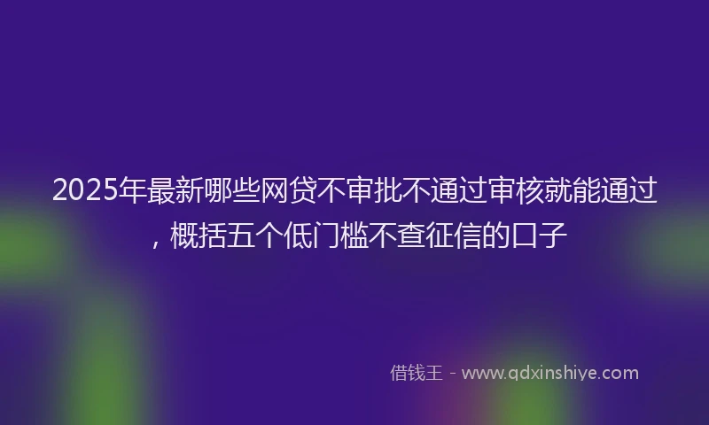 2025年最新哪些网贷不审批不通过审核就能通过，概括五个低门槛不查征信的口子