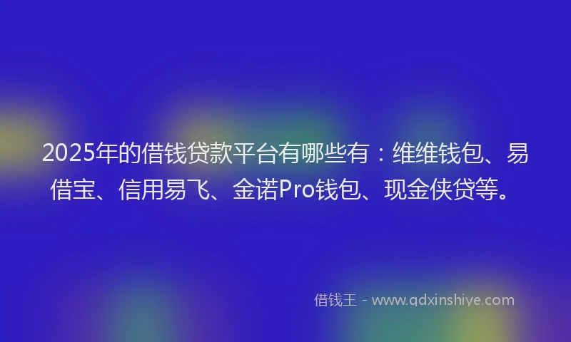2025年的借钱贷款平台有哪些有：维维钱包、易借宝、信用易飞、金诺Pro钱包、现金侠贷等。