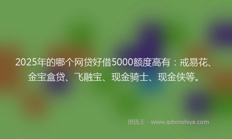 2025年的哪个网贷好借5000额度高有：戒易花、金宝盒贷、飞融宝、现金骑士、现金侠等。