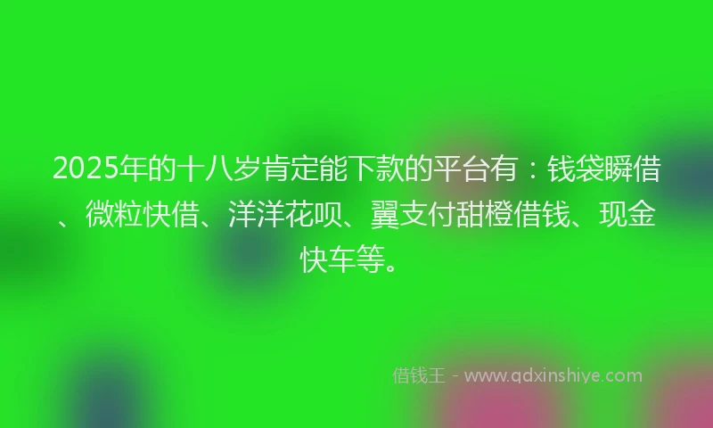 2025年的十八岁肯定能下款的平台有：钱袋瞬借、微粒快借、洋洋花呗、翼支付甜橙借钱、现金快车等。