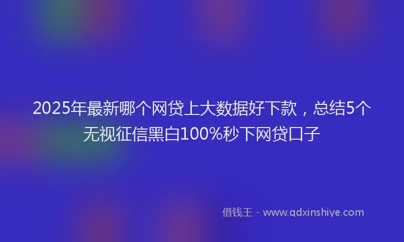 2025年最新哪个网贷上大数据好下款，总结5个无视征信黑白100%秒下网贷口子