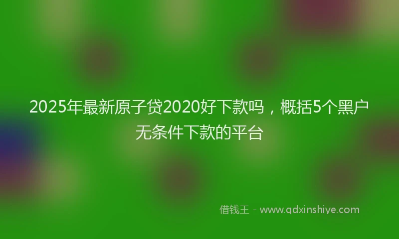 2025年最新原子贷2020好下款吗，概括5个黑户无条件下款的平台