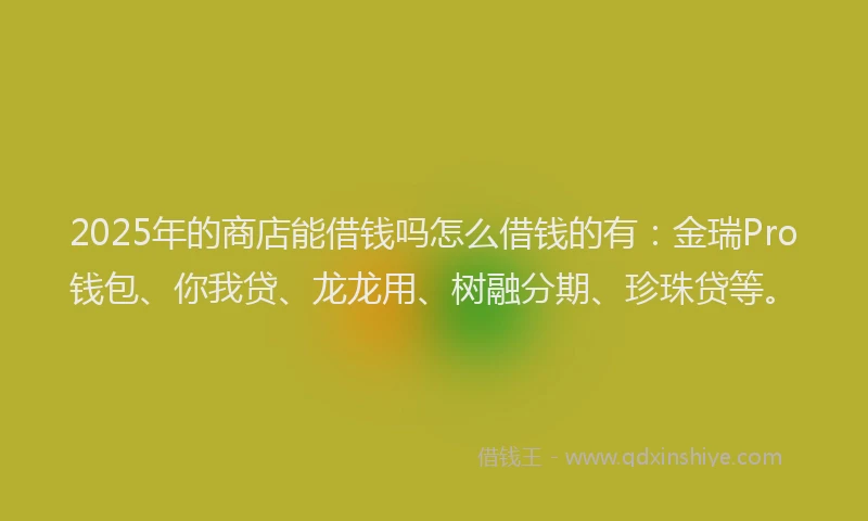 2025年的商店能借钱吗怎么借钱的有：金瑞Pro钱包、你我贷、龙龙用、树融分期、珍珠贷等。