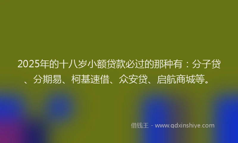 2025年的十八岁小额贷款必过的那种有：分子贷、分期易、柯基速借、众安贷、启航商城等。