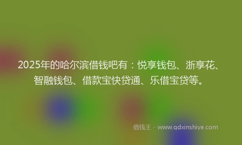 2025年的哈尔滨借钱吧有：悦享钱包、浙享花、智融钱包、借款宝快贷通、乐借宝贷等。
