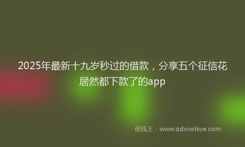 2025年最新十九岁秒过的借款，分享五个征信花居然都下款了的app
