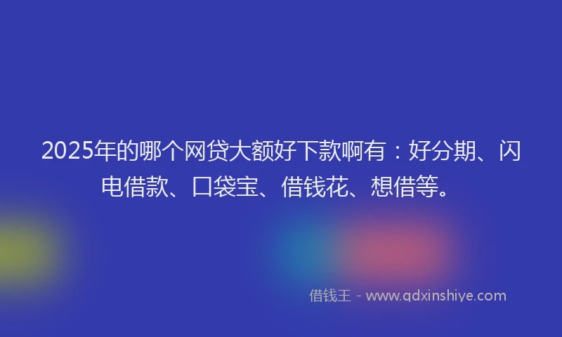 2025年的哪个网贷大额好下款啊有：好分期、闪电借款、口袋宝、借钱花、想借等。