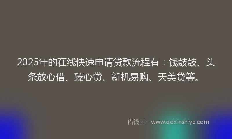 2025年的在线快速申请贷款流程有：钱鼓鼓、头条放心借、臻心贷、新机易购、天美贷等。