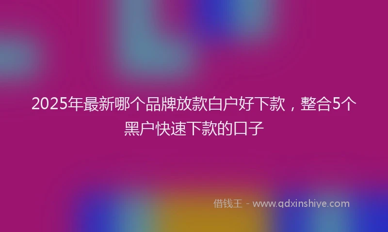 2025年最新哪个品牌放款白户好下款，整合5个黑户快速下款的口子