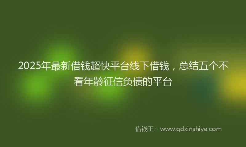 2025年最新借钱超快平台线下借钱，总结五个不看年龄征信负债的平台