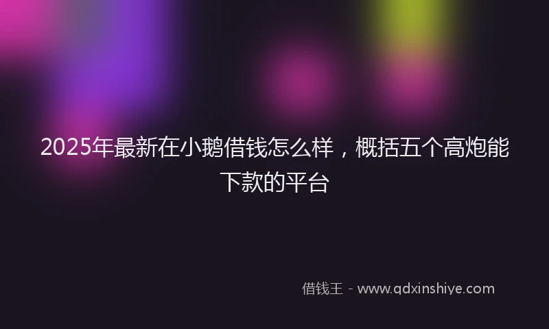 2025年最新在小鹅借钱怎么样，概括五个高炮能下款的平台