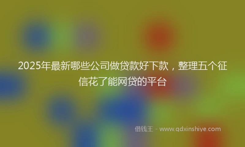 2025年最新哪些公司做贷款好下款，整理五个征信花了能网贷的平台