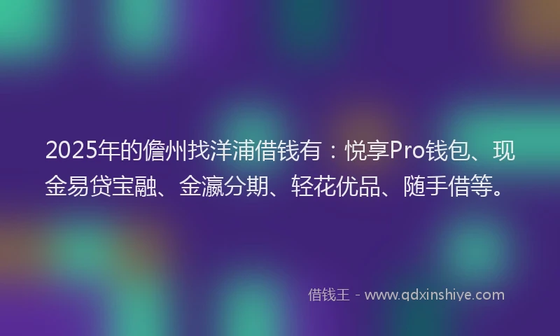 2025年的儋州找洋浦借钱有：悦享Pro钱包、现金易贷宝融、金瀛分期、轻花优品、随手借等。