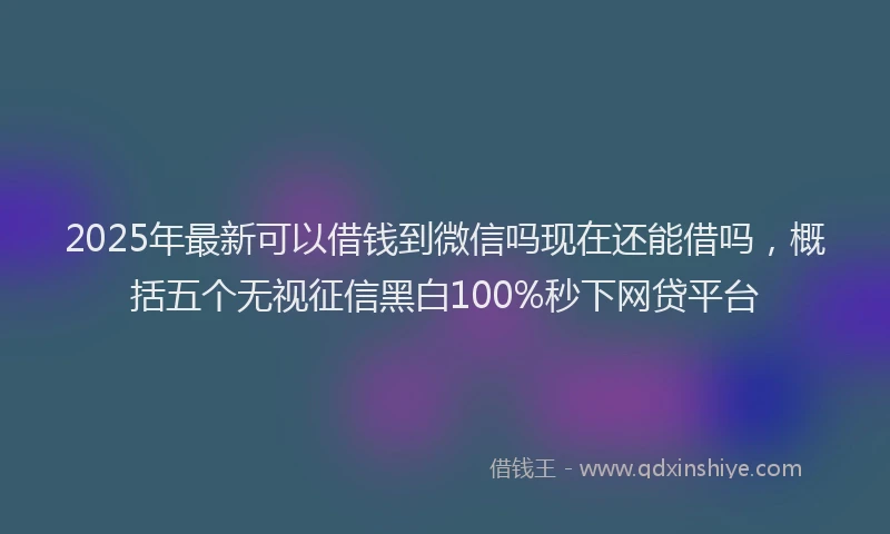 2025年最新可以借钱到微信吗现在还能借吗，概括五个无视征信黑白100%秒下网贷平台