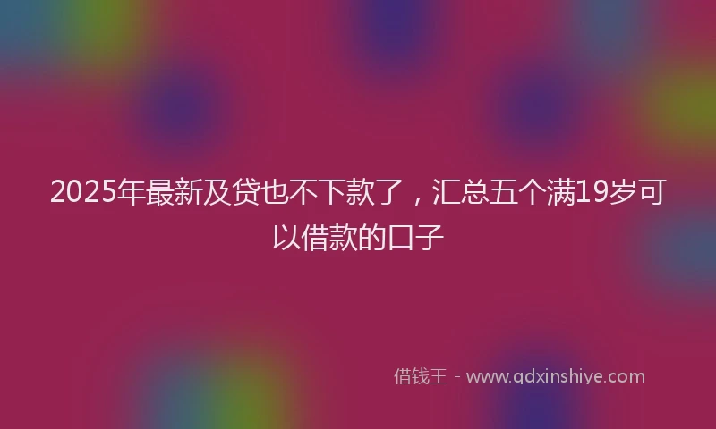 2025年最新及贷也不下款了，汇总五个满19岁可以借款的口子