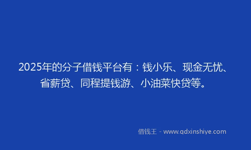 2025年的分子借钱平台有：钱小乐、现金无忧、省薪贷、同程提钱游、小油菜快贷等。