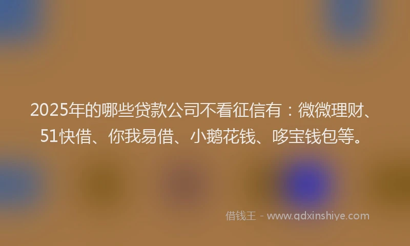 2025年的哪些贷款公司不看征信有：微微理财、51快借、你我易借、小鹅花钱、哆宝钱包等。