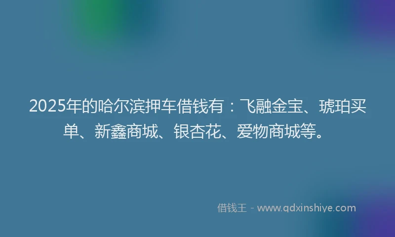 2025年的哈尔滨押车借钱有：飞融金宝、琥珀买单、新鑫商城、银杏花、爱物商城等。