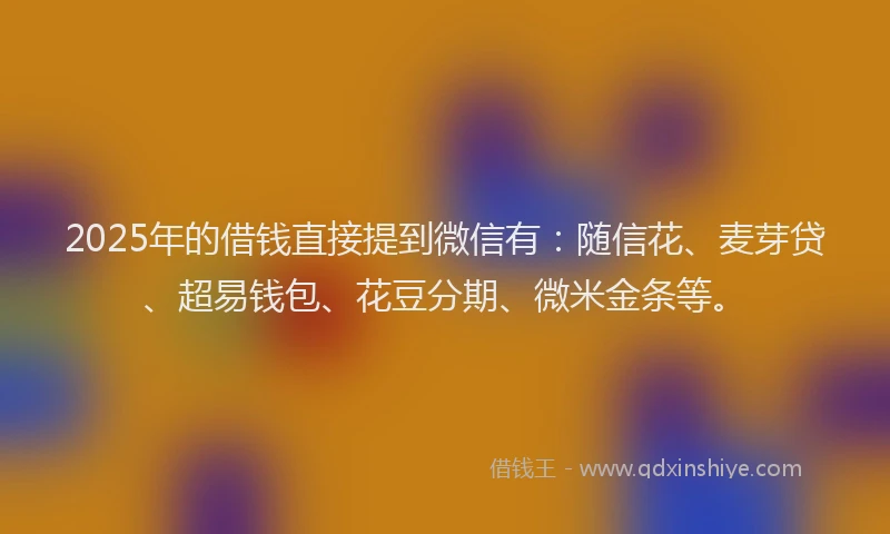 2025年的借钱直接提到微信有：随信花、麦芽贷、超易钱包、花豆分期、微米金条等。