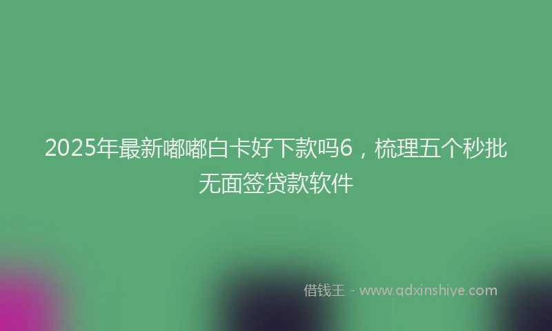 2025年最新嘟嘟白卡好下款吗6，梳理五个秒批无面签贷款软件
