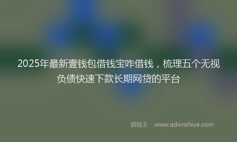 2025年最新壹钱包借钱宝咋借钱，梳理五个无视负债快速下款长期网贷的平台