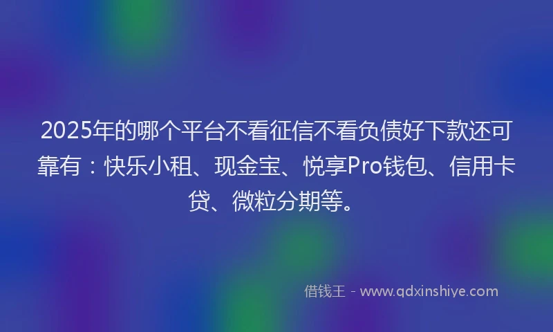2025年的哪个平台不看征信不看负债好下款还可靠有：快乐小租、现金宝、悦享Pro钱包、信用卡贷、微粒分期等。