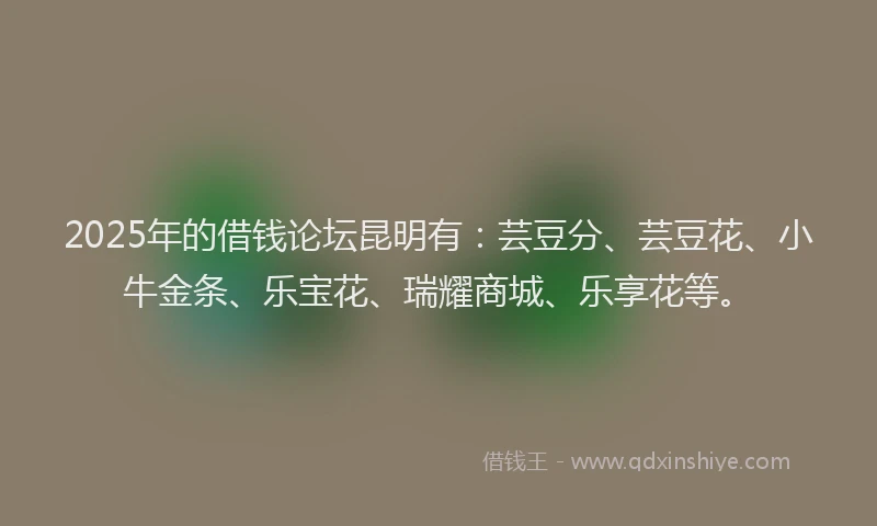 2025年的借钱论坛昆明有：芸豆分、芸豆花、小牛金条、乐宝花、瑞耀商城、乐享花等。