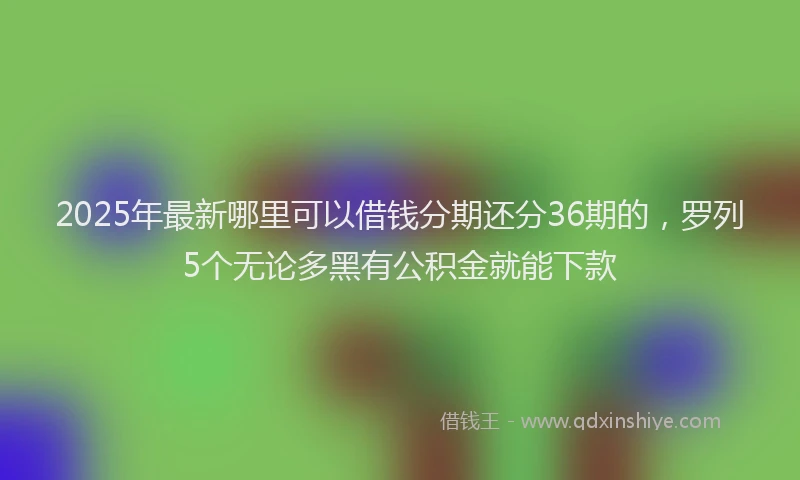 2025年最新哪里可以借钱分期还分36期的，罗列5个无论多黑有公积金就能下款