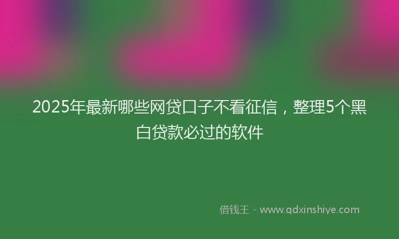 2025年最新哪些网贷口子不看征信，整理5个黑白贷款必过的软件