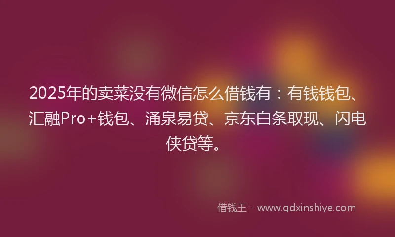 2025年的卖菜没有微信怎么借钱有：有钱钱包、汇融Pro+钱包、涌泉易贷、京东白条取现、闪电侠贷等。