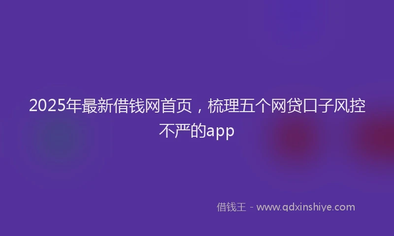 2025年最新借钱网首页，梳理五个网贷口子风控不严的app