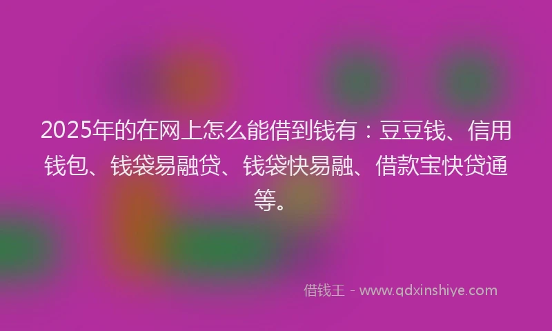 2025年的在网上怎么能借到钱有：豆豆钱、信用钱包、钱袋易融贷、钱袋快易融、借款宝快贷通等。