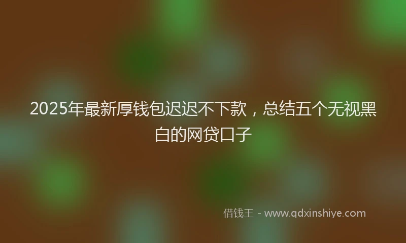 2025年最新厚钱包迟迟不下款，总结五个无视黑白的网贷口子