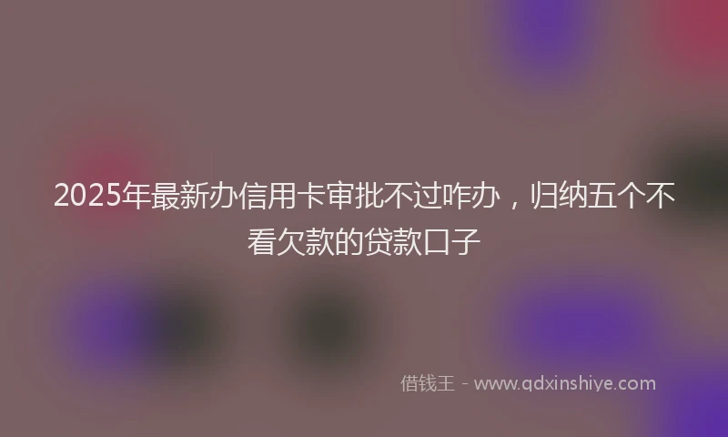 2025年最新办信用卡审批不过咋办，归纳五个不看欠款的贷款口子
