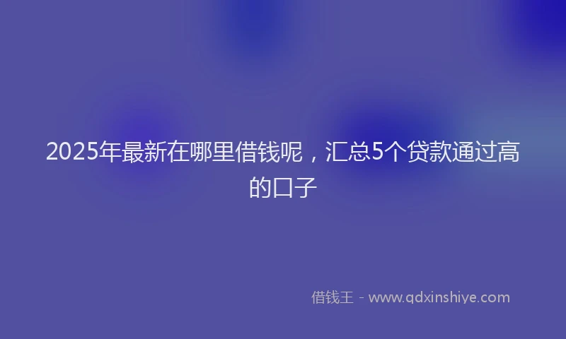 2025年最新在哪里借钱呢，汇总5个贷款通过高的口子