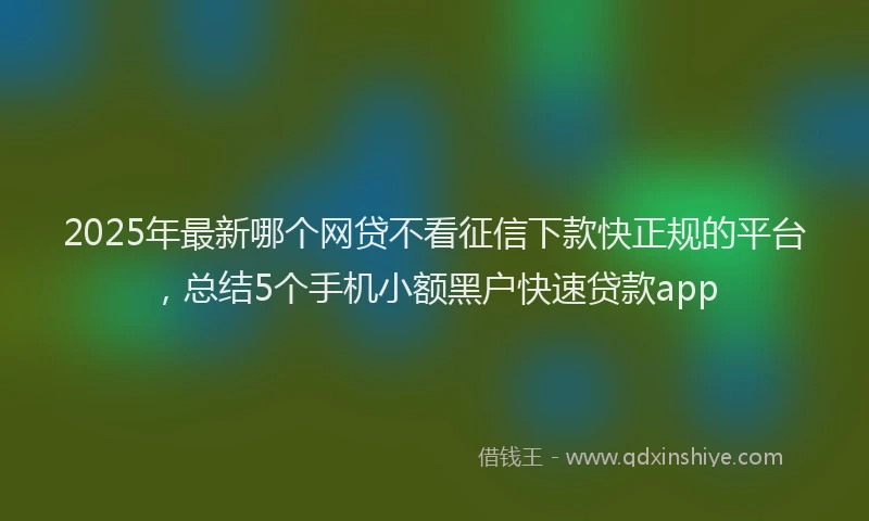 2025年最新哪个网贷不看征信下款快正规的平台，总结5个手机小额黑户快速贷款app