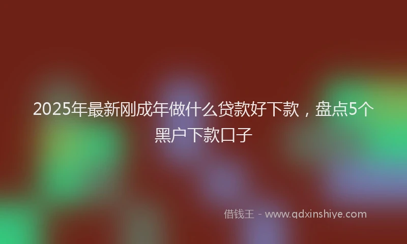 2025年最新刚成年做什么贷款好下款，盘点5个黑户下款口子