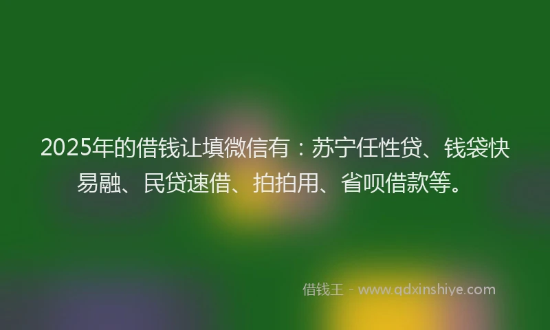 2025年的借钱让填微信有：苏宁任性贷、钱袋快易融、民贷速借、拍拍用、省呗借款等。
